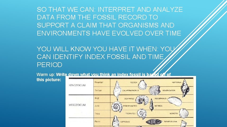 SO THAT WE CAN: INTERPRET AND ANALYZE DATA FROM THE FOSSIL RECORD TO SUPPORT