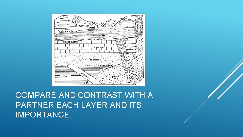 COMPARE AND CONTRAST WITH A PARTNER EACH LAYER AND ITS IMPORTANCE. 