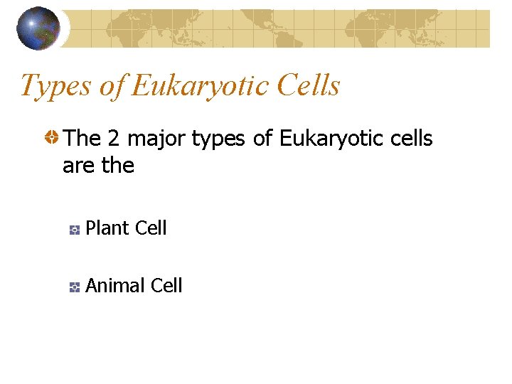 Types of Eukaryotic Cells The 2 major types of Eukaryotic cells are the Plant