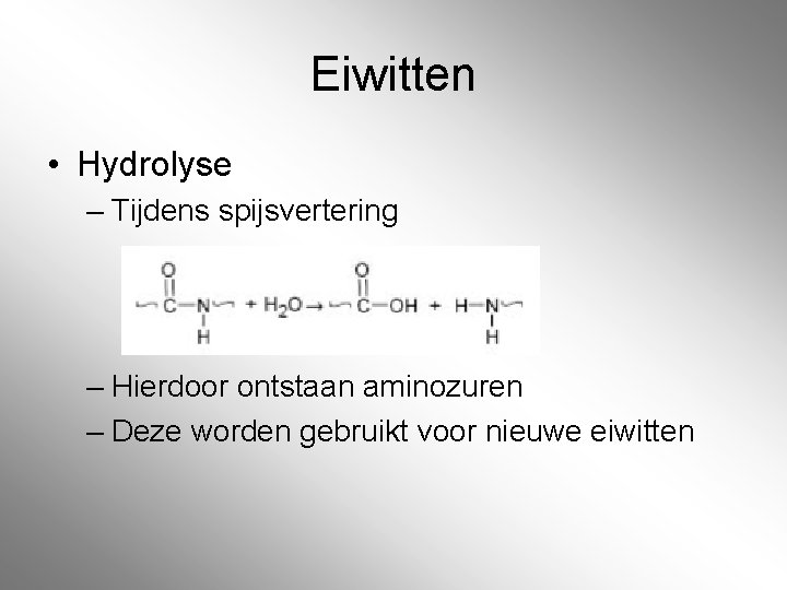 Eiwitten • Hydrolyse – Tijdens spijsvertering – Hierdoor ontstaan aminozuren – Deze worden gebruikt