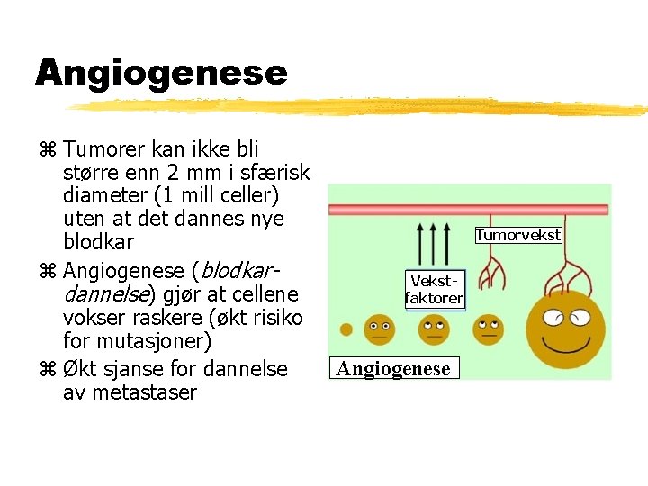 Angiogenese z Tumorer kan ikke bli større enn 2 mm i sfærisk diameter (1 Angiogenese z Tumorer kan ikke bli større enn 2 mm i sfærisk diameter (1