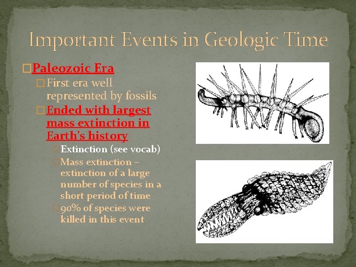 Important Events in Geologic Time �Paleozoic Era � First era well represented by fossils Important Events in Geologic Time �Paleozoic Era � First era well represented by fossils