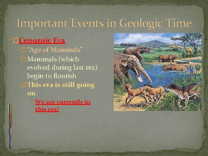 Important Events in Geologic Time �Cenozoic Era � “Age of Mammals” � Mammals (which Important Events in Geologic Time �Cenozoic Era � “Age of Mammals” � Mammals (which