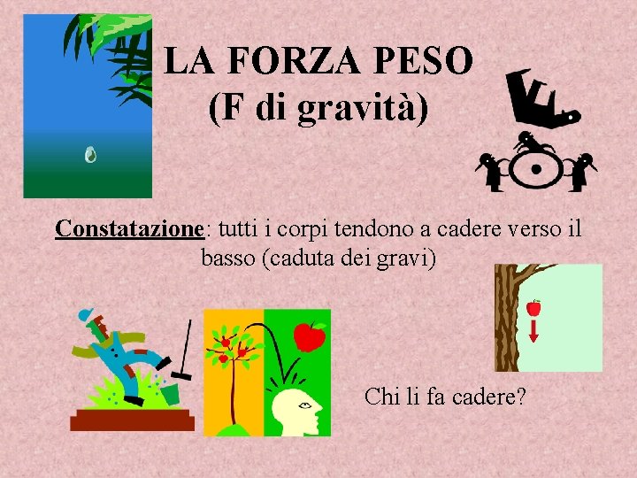 LA FORZA PESO (F di gravità) Constatazione: tutti i corpi tendono a cadere verso