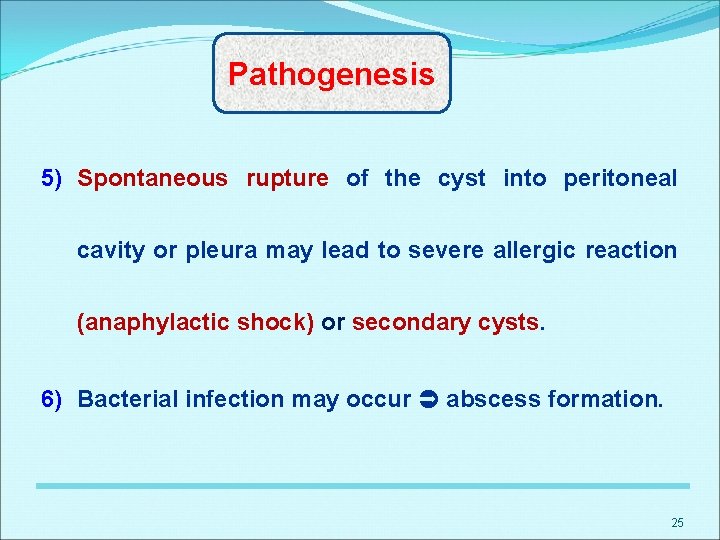 Pathogenesis 5) Spontaneous rupture of the cyst into peritoneal cavity or pleura may lead