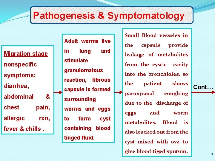 Pathogenesis & Symptomatology Adult worms live Migration stage and granulomatous symptoms: reaction, diarrhea, fibrous
