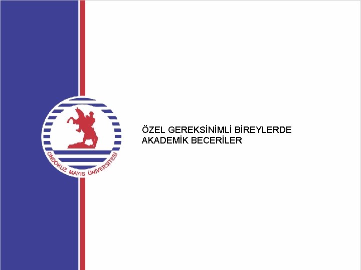 ÖZEL GEREKSİNİMLİ BİREYLERDE AKADEMİK BECERİLER 