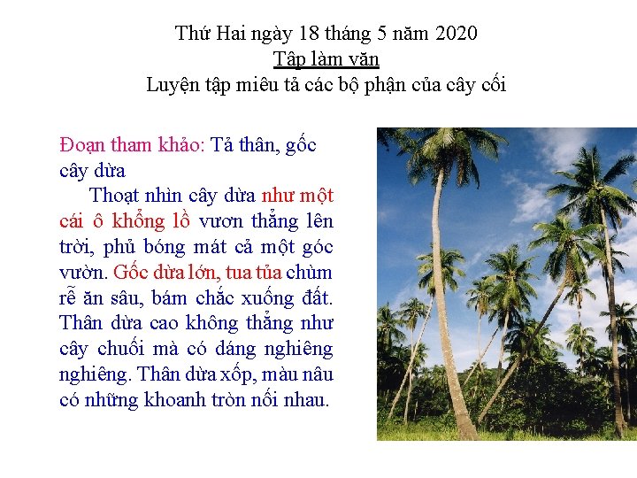 Thứ Hai ngày 18 tháng 5 năm 2020 Tập làm văn Luyện tập miêu