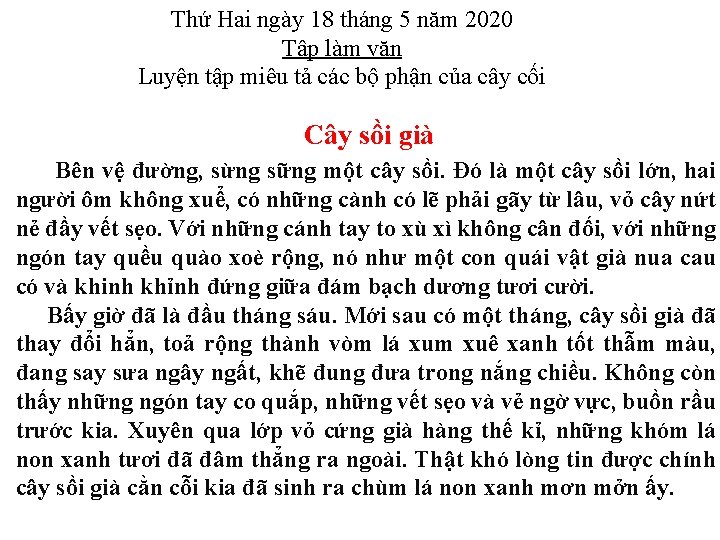 Thứ Hai ngày 18 tháng 5 năm 2020 Tập làm văn Luyện tập miêu