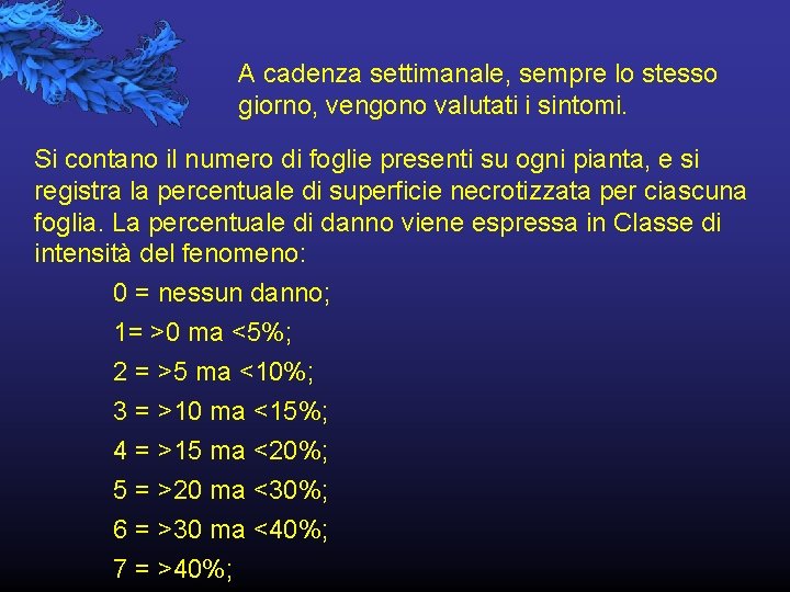 A cadenza settimanale, sempre lo stesso giorno, vengono valutati i sintomi. Si contano il