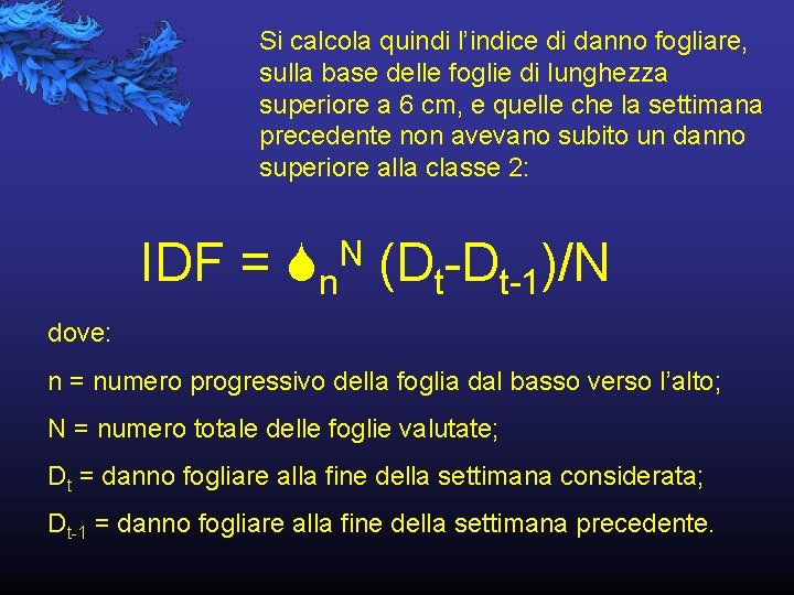 Si calcola quindi l’indice di danno fogliare, sulla base delle foglie di lunghezza superiore