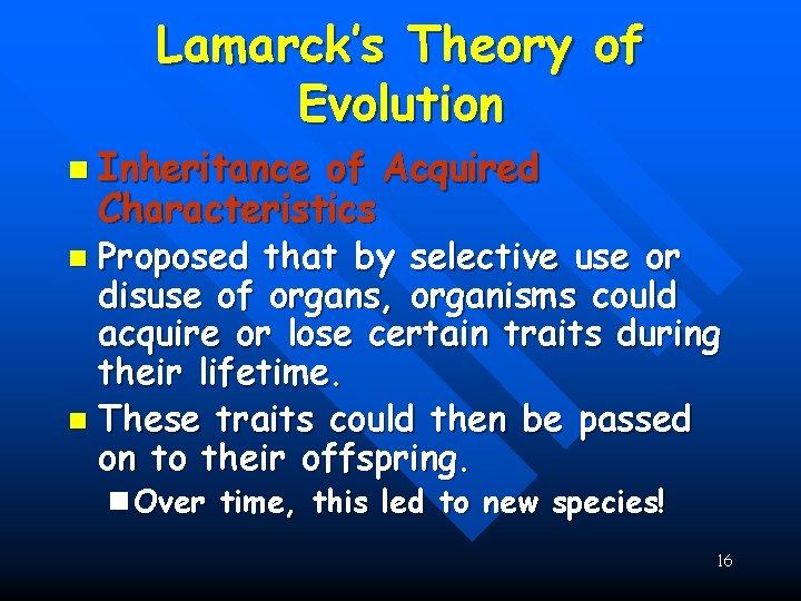 Lamarck’s Theory of Evolution n Inheritance of Acquired Characteristics Proposed that by selective use