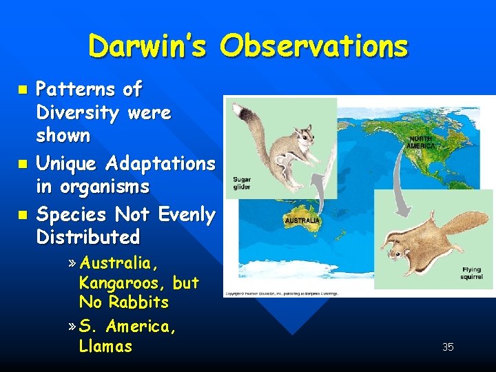 Darwin’s Observations n n n Patterns of Diversity were shown Unique Adaptations in organisms