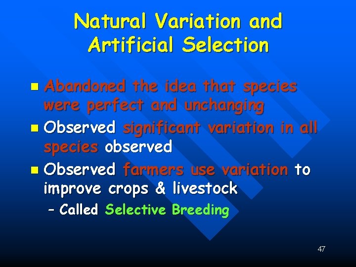 Natural Variation and Artificial Selection Abandoned the idea that species were perfect and unchanging