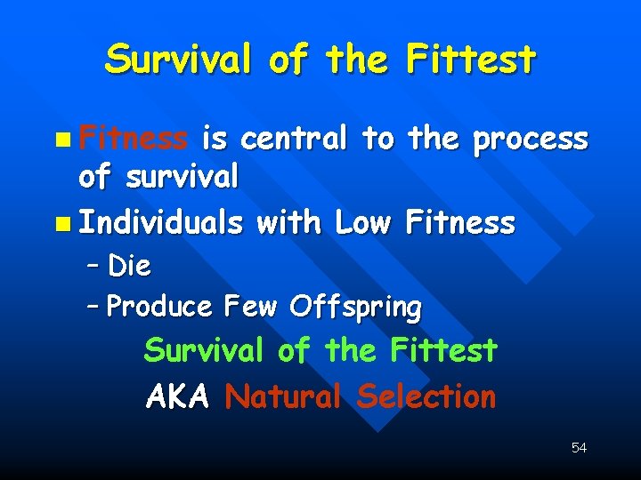 Survival of the Fittest n Fitness is central to the process of survival n