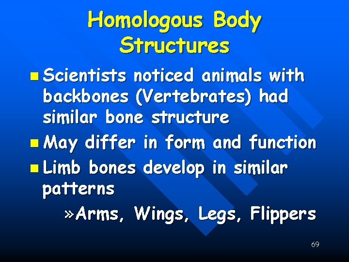 Homologous Body Structures n Scientists noticed animals with backbones (Vertebrates) had similar bone structure