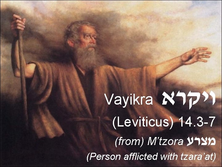 Vayikra ויקרא (Leviticus) 14. 3 -7 (from) M’tzora מצרע (Person afflicted with tzara’at) 