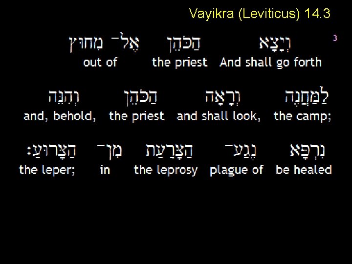 Vayikra (Leviticus) 14. 3 