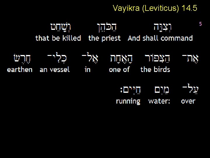Vayikra (Leviticus) 14. 5 