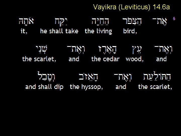 Vayikra (Leviticus) 14. 6 a 