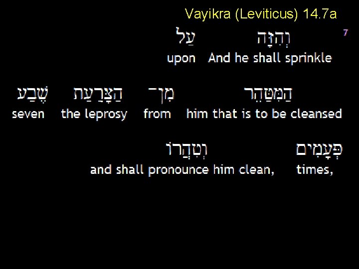 Vayikra (Leviticus) 14. 7 a 