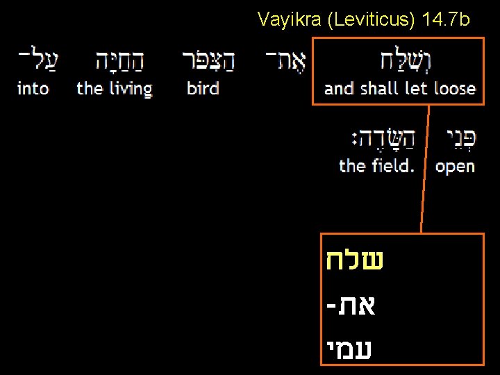 Vayikra (Leviticus) 14. 7 b שלח - את עמי 