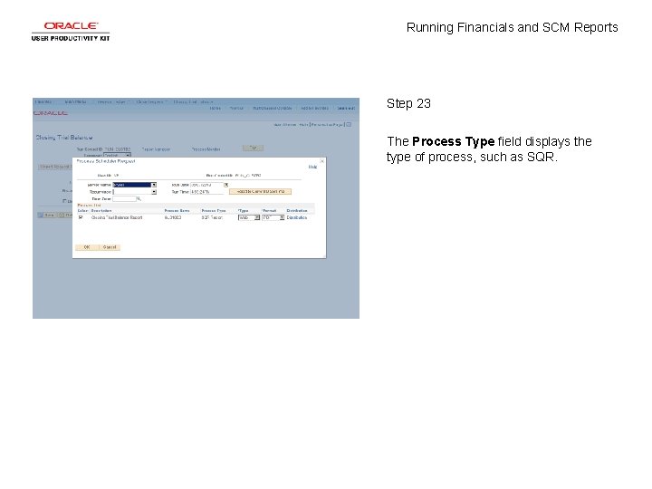 Running Financials and SCM Reports Step 23 The Process Type field displays the type