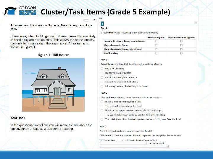 Cluster/Task Items (Grade 5 Example) 