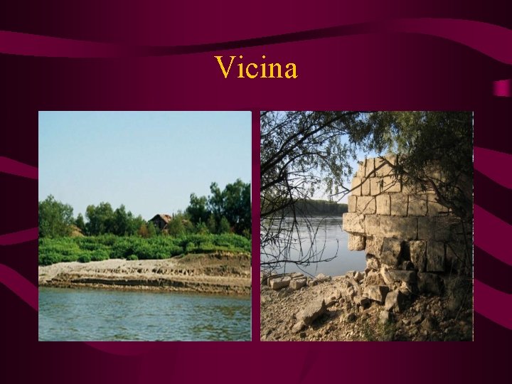 Vicina 