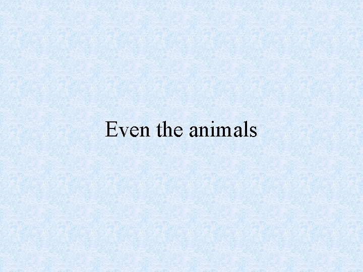 Even the animals 
