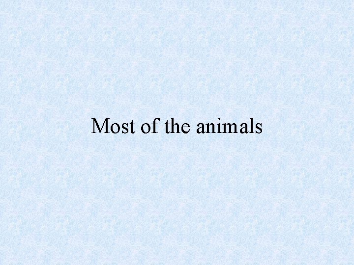 Most of the animals 