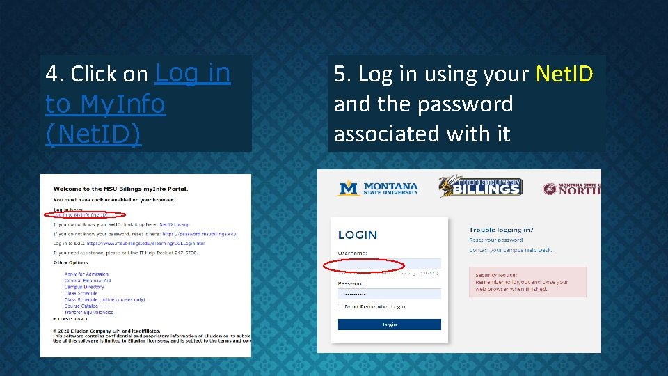 4. Click on Log in to My. Info (Net. ID) 5. Log in using