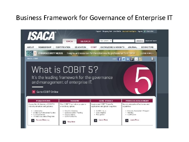 Business Framework for Governance of Enterprise IT 