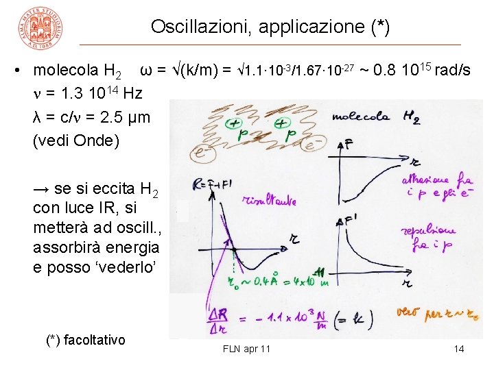 Oscillazioni, applicazione (*) • molecola H 2 ω = √(k/m) = √ 1. 1·
