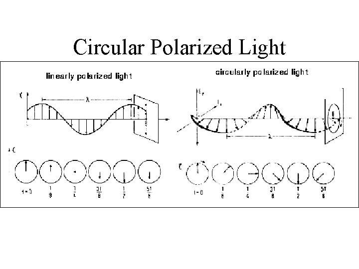 Circular Polarized Light 