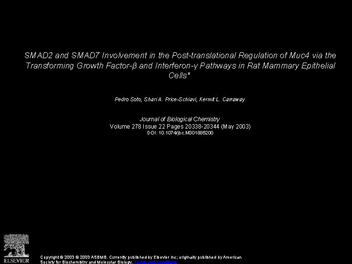 SMAD 2 and SMAD 7 Involvement in the Post-translational Regulation of Muc 4 via