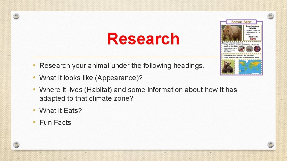 Research • Research your animal under the following headings. • What it looks like Research • Research your animal under the following headings. • What it looks like