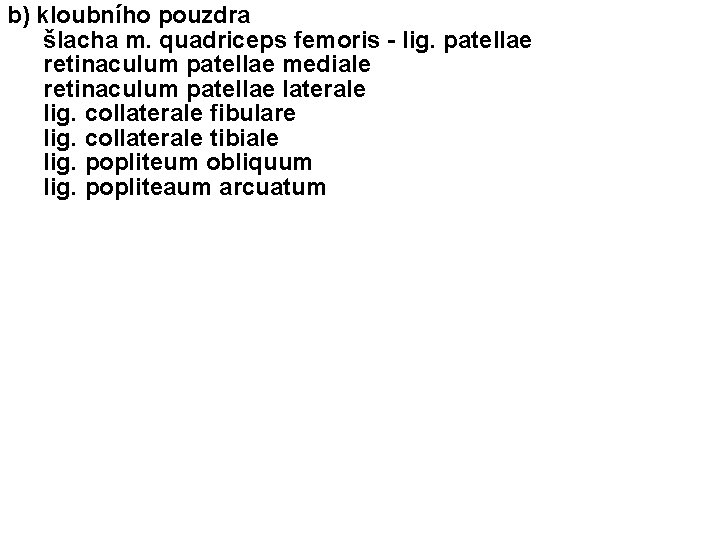 b) kloubního pouzdra šlacha m. quadriceps femoris - lig. patellae retinaculum patellae mediale retinaculum