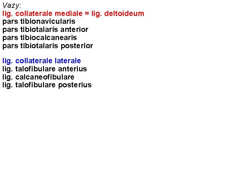 Vazy: lig. collaterale mediale = lig. deltoideum pars tibionavicularis pars tibiotalaris anterior pars tibiocalcanearis
