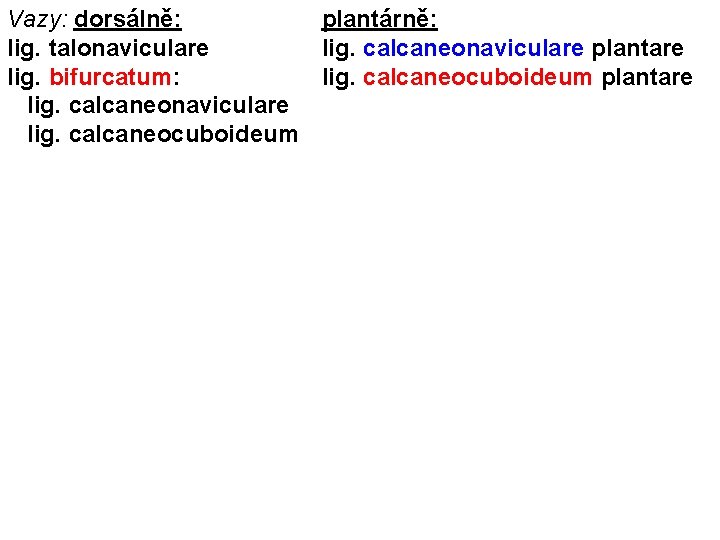 Vazy: dorsálně: plantárně: lig. talonaviculare lig. calcaneonaviculare plantare lig. bifurcatum: lig. calcaneocuboideum plantare lig.