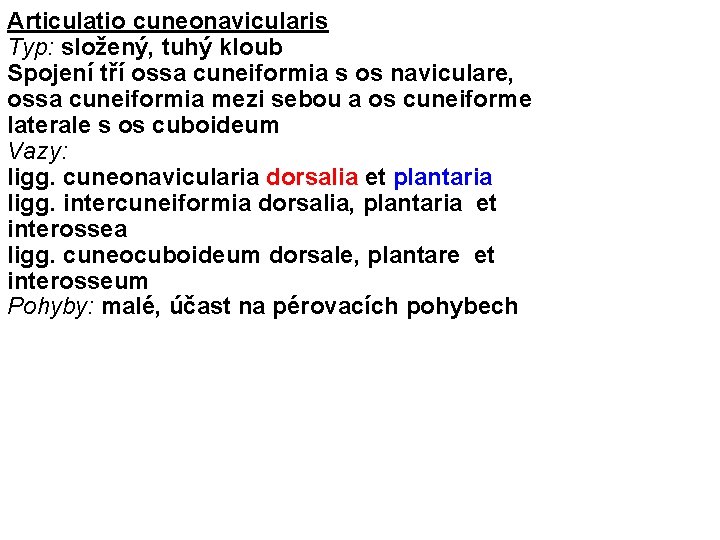 Articulatio cuneonavicularis Typ: složený, tuhý kloub Spojení tří ossa cuneiformia s os naviculare, ossa