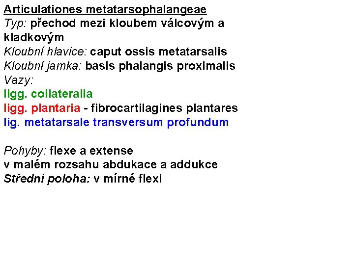 Articulationes metatarsophalangeae Typ: přechod mezi kloubem válcovým a kladkovým Kloubní hlavice: caput ossis metatarsalis