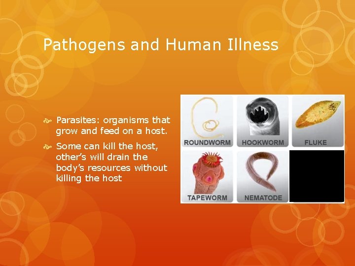 Pathogens and Human Illness Parasites: organisms that grow and feed on a host. Some