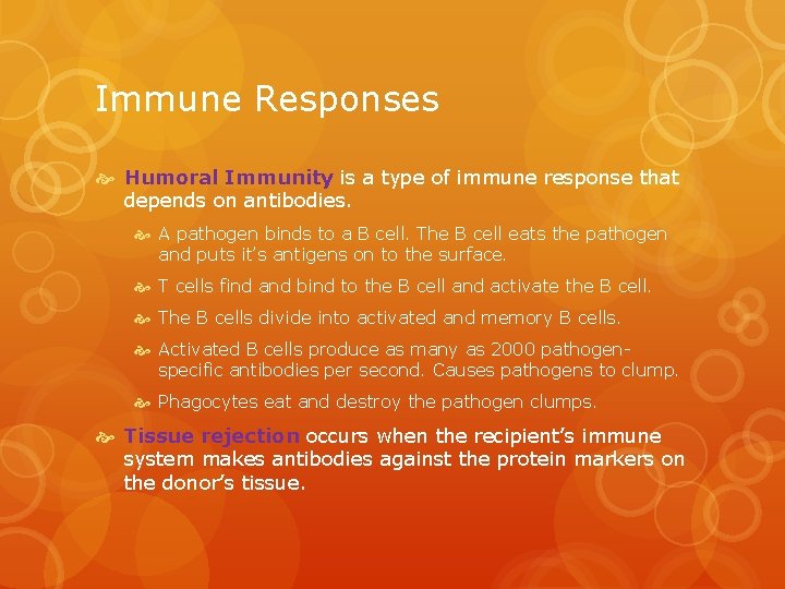 Immune Responses Humoral Immunity is a type of immune response that depends on antibodies.
