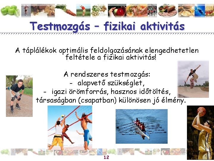 Testmozgás – fizikai aktivitás A táplálékok optimális feldolgozásának elengedhetetlen feltétele a fizikai aktivitás! A