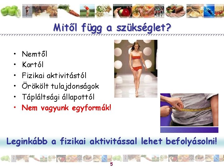 Mitől függ a szükséglet? • • • Nemtől Kortól Fizikai aktivitástól Örökölt tulajdonságok Tápláltsági