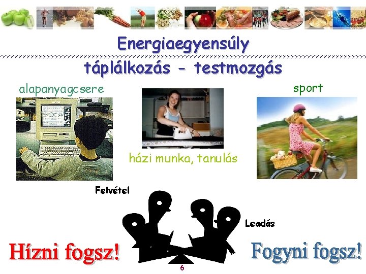 Energiaegyensúly táplálkozás - testmozgás alapanyagcsere házi munka, tanulás Felvétel Leadás 6 sport 