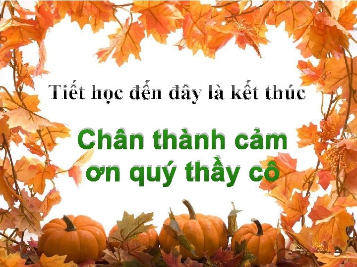 Chân thành cảm ơn quý thầy cô 