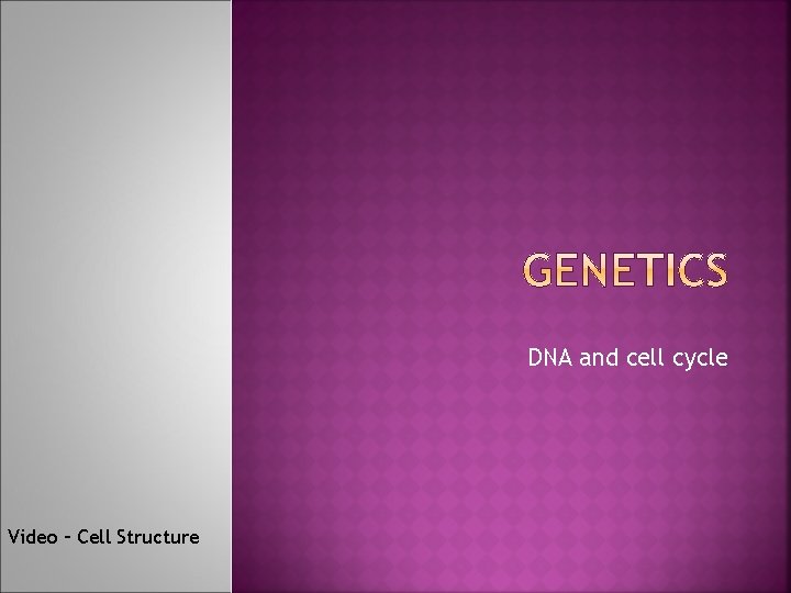 DNA and cell cycle Video – Cell Structure 