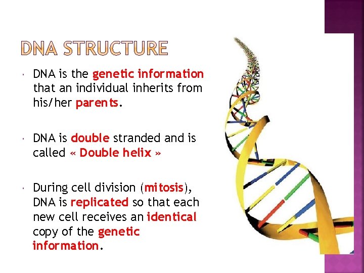  DNA is the genetic information that an individual inherits from his/her parents. DNA
